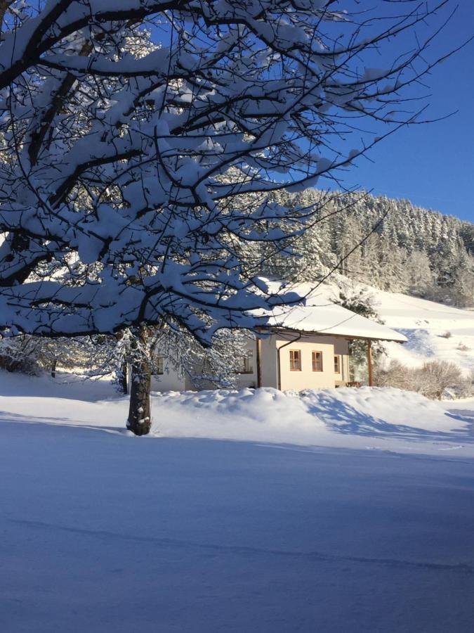 Bobbies Nest Villa Schladming Kültér fotó