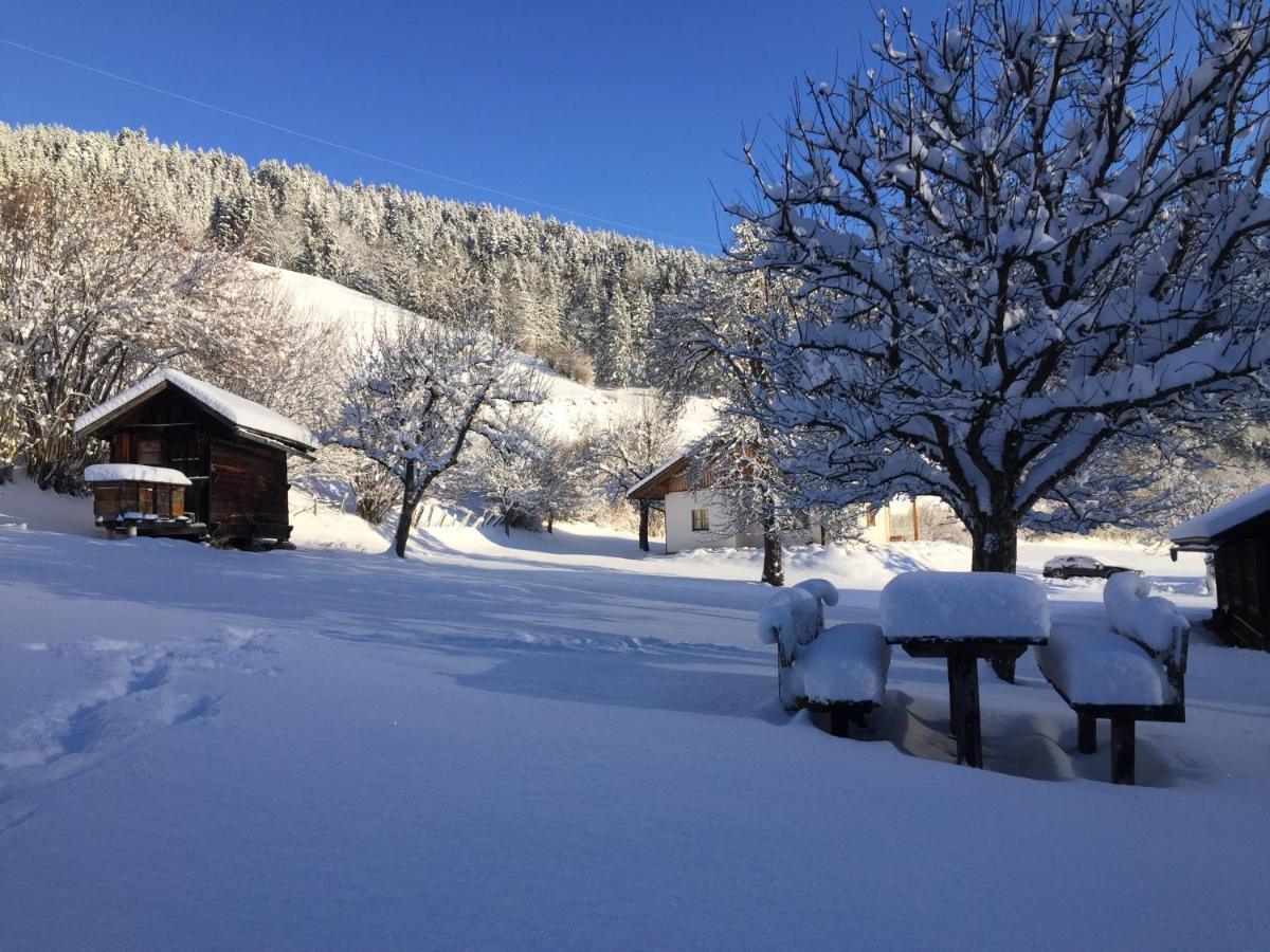 Bobbies Nest Villa Schladming Kültér fotó