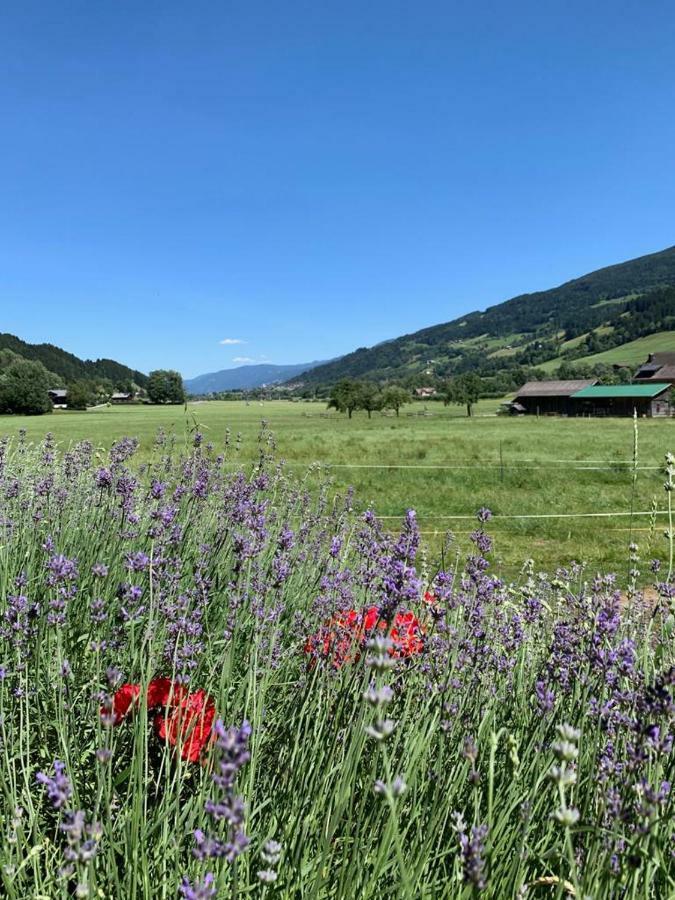Bobbies Nest Villa Schladming Kültér fotó