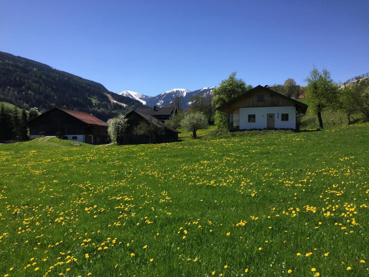 Bobbies Nest Villa Schladming Kültér fotó