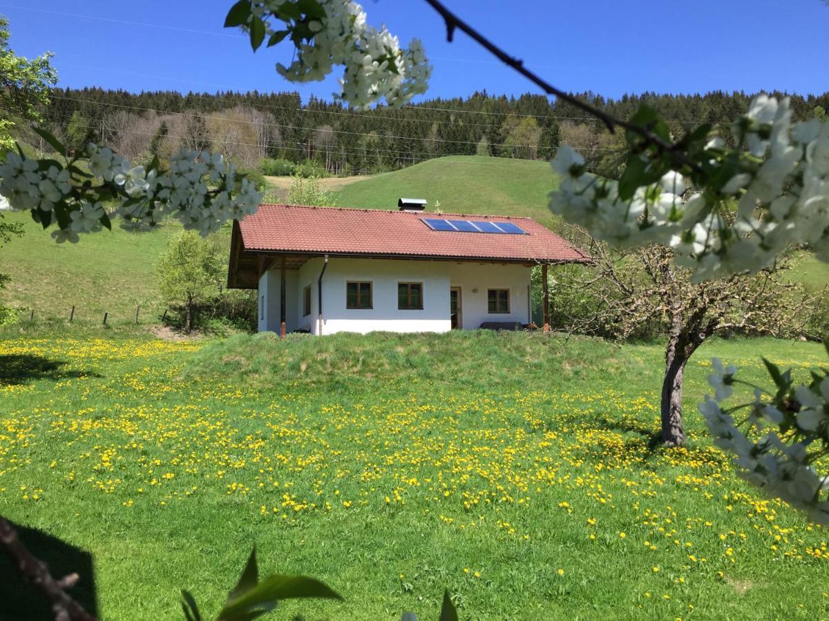 Bobbies Nest Villa Schladming Kültér fotó